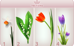 Психологический тест для женщин: Выберите цветок и узнайте, чем вы привлекаете мужчин