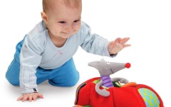 Лучшие развивающие игры для детей до года: игрушки, описания, отзывы
